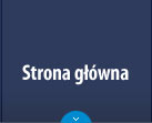 Strona główna