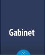 Gabinet